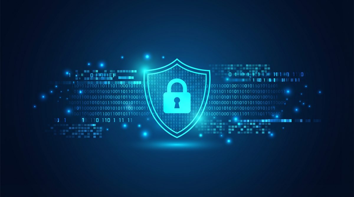 四柚加速器隐私安全保护